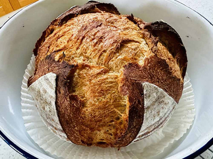Elaine's Super Summer Sourdough Tips (Overproving 101)