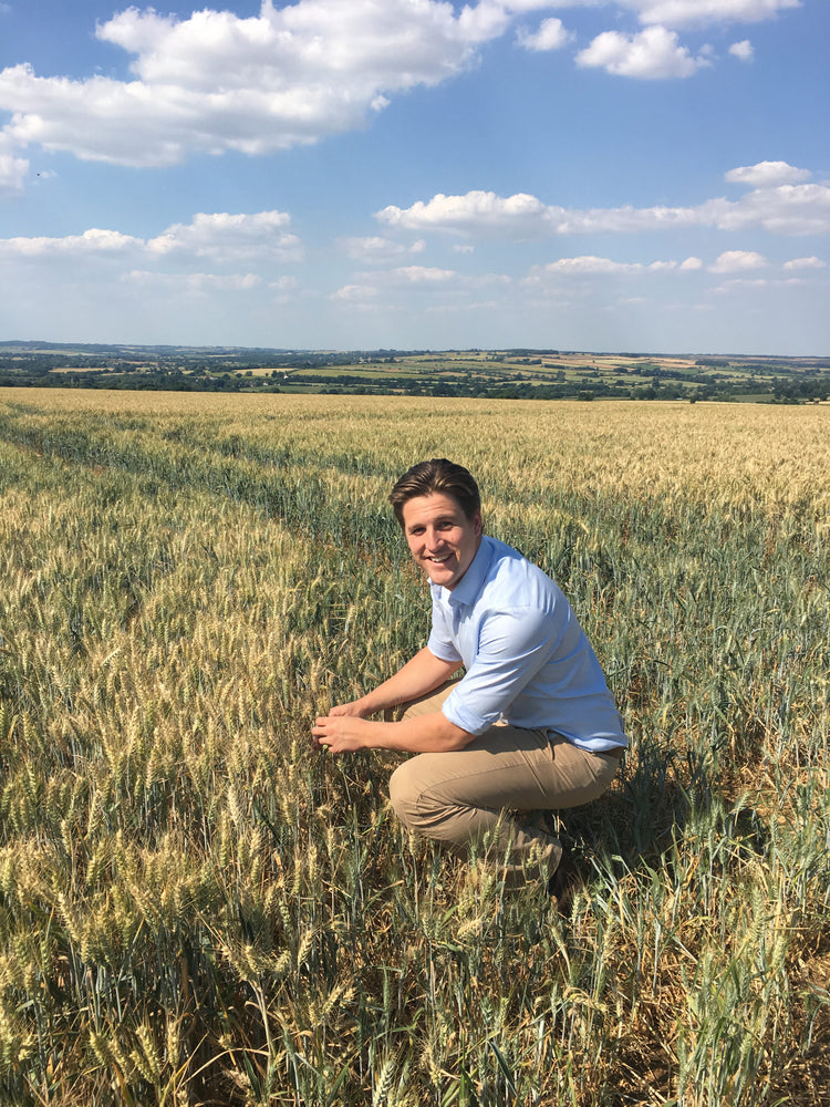 Bertie Matthews preparing for the wheat harvest