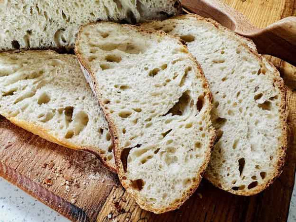 Elaine's Top Pizza Flour For Sourdough Tips