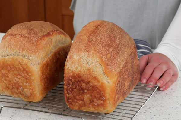 Elaine’s Sourdough Sandwich Loaf Recipe