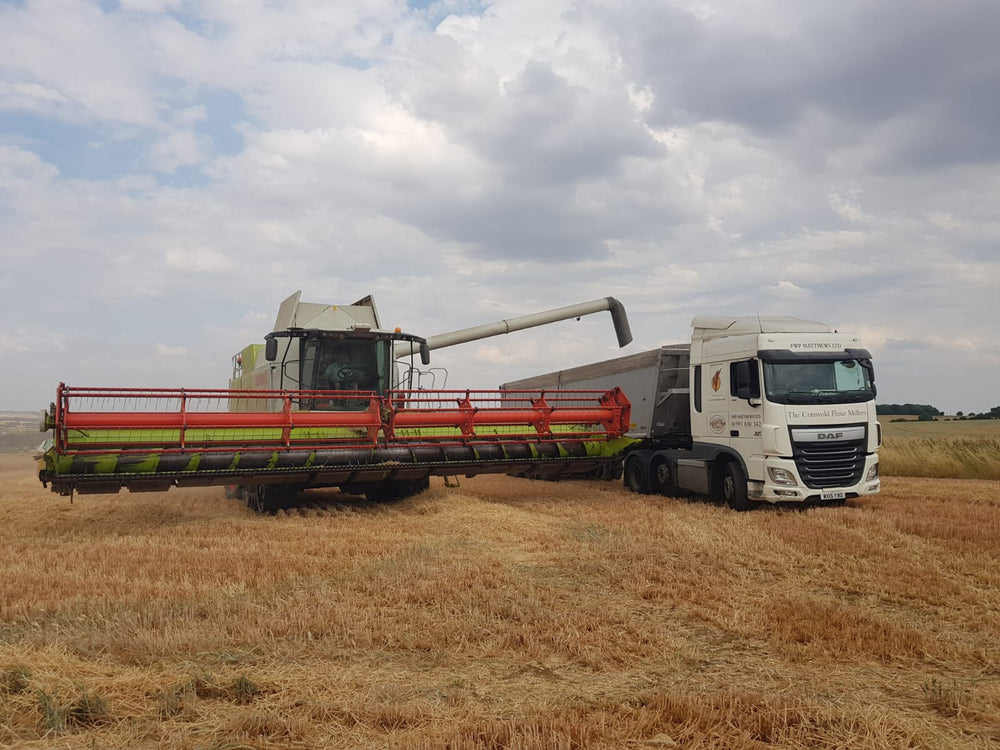 Bringing in the Cotswold harvest!