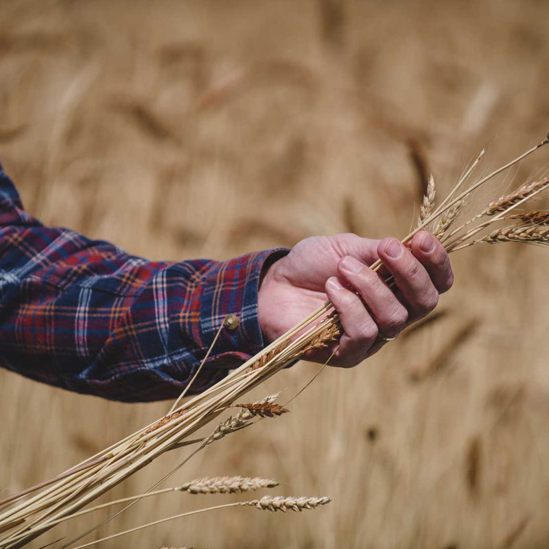 What is Regenerative Agriculture?