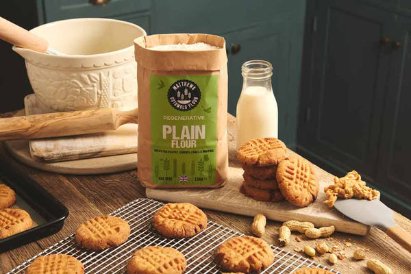 Salted Peanut Butter Cookies Regen Recipe
