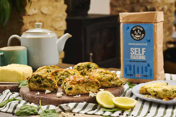 Regenerative Spanakopita Scones Recipe