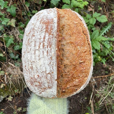 Seven Seed and Grain Light Rye Loaf