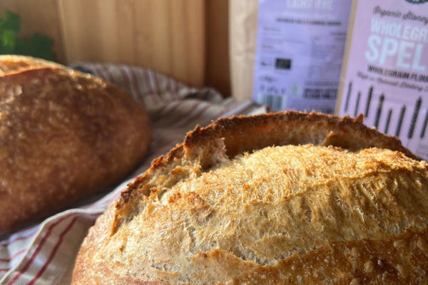 Spelt and Light Rye Country Sourdough Loaves Recipe