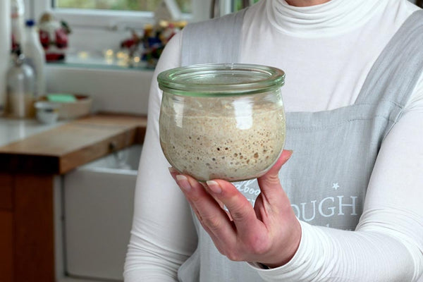 Elaine's Sourdough Starter FAQs Answered