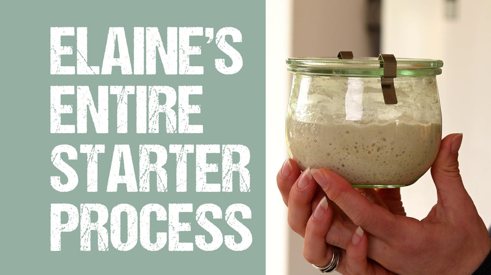 Elaine's Starter Secrets Series