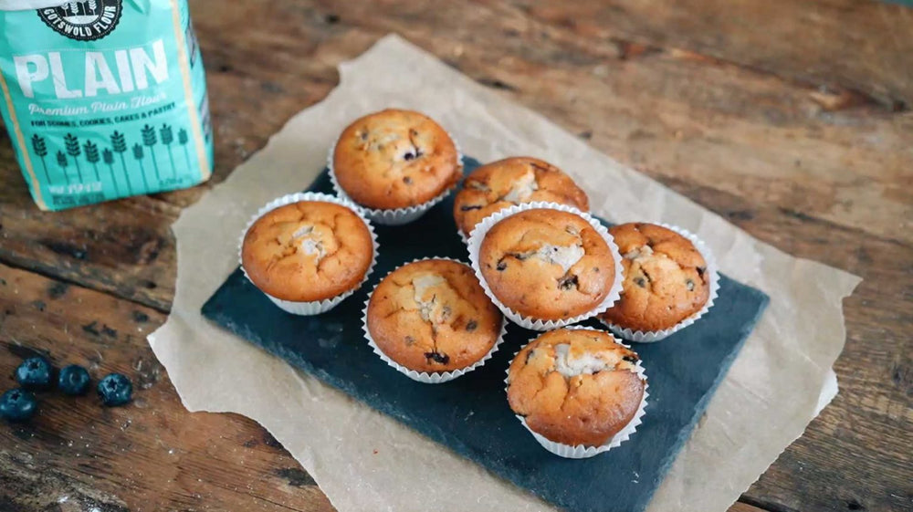 Delicious Blueberry Muffins