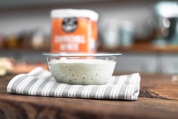 Sourdough Tips from our Expert Baker - Sophie B