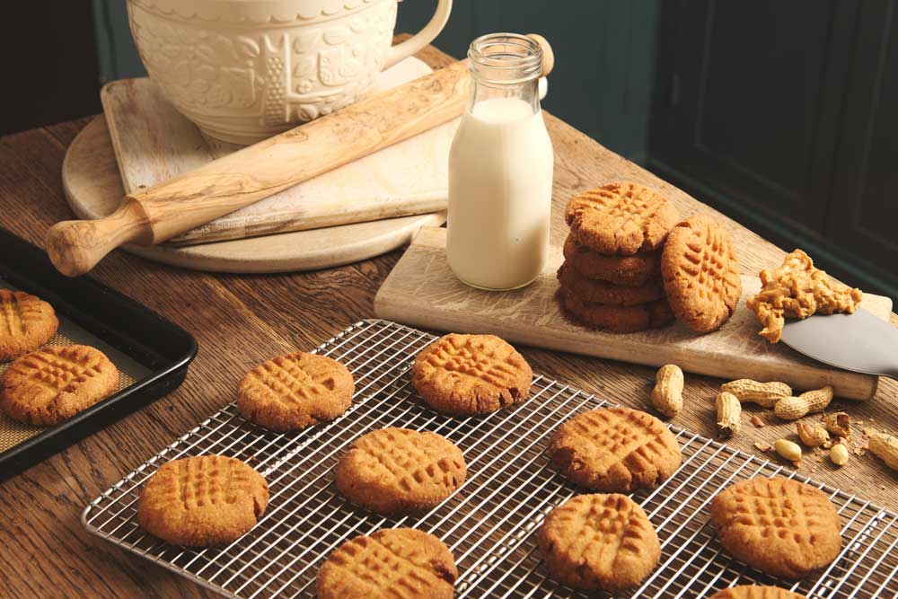 Salted Peanut Butter Cookies Regen Recipe