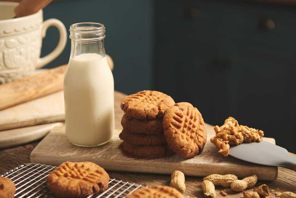 Salted Peanut Butter Cookies Regen Recipe