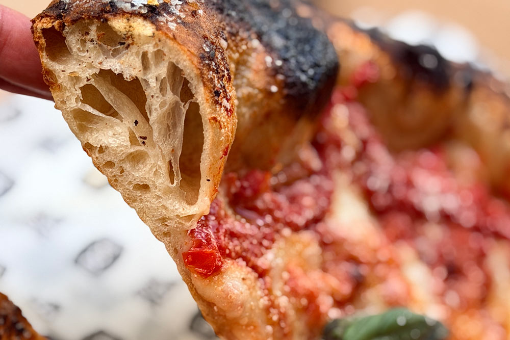 Regenerative Pizza Flour Dough Recipe