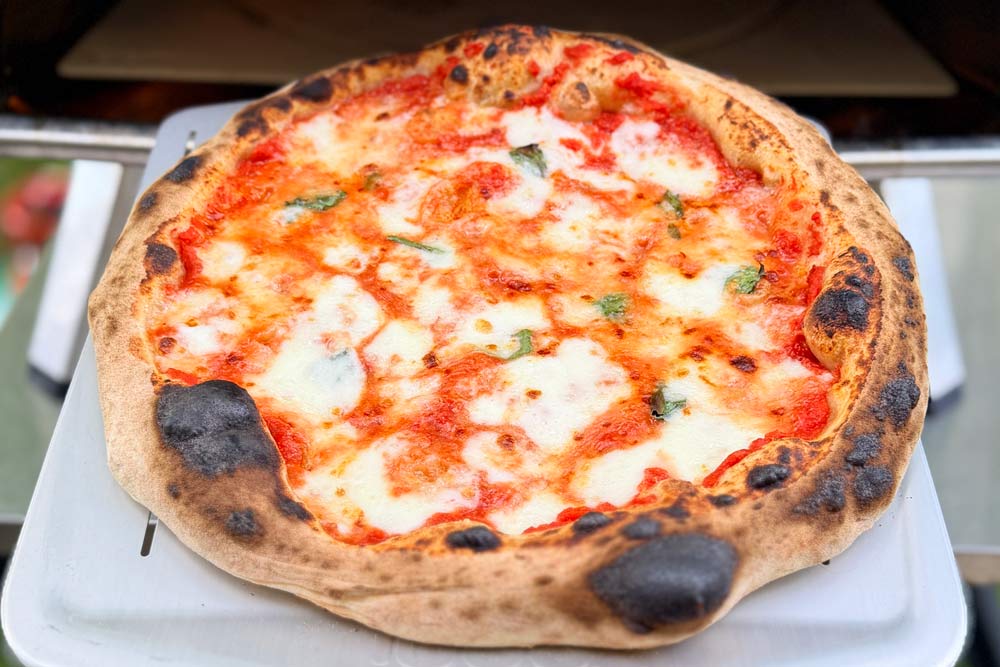 Regenerative Pizza Flour Dough Recipe