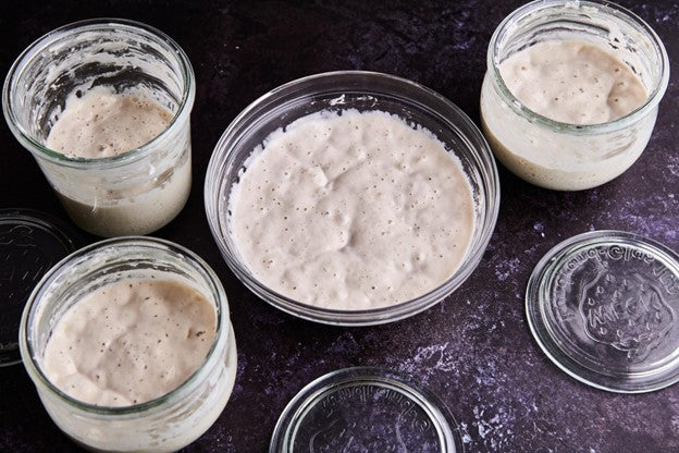 Sourdough Starter Step-By-Step