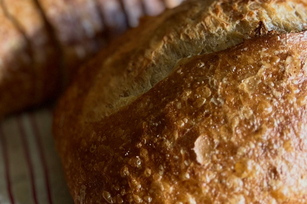 Spelt and Light Rye Country Sourdough Loaves Recipe