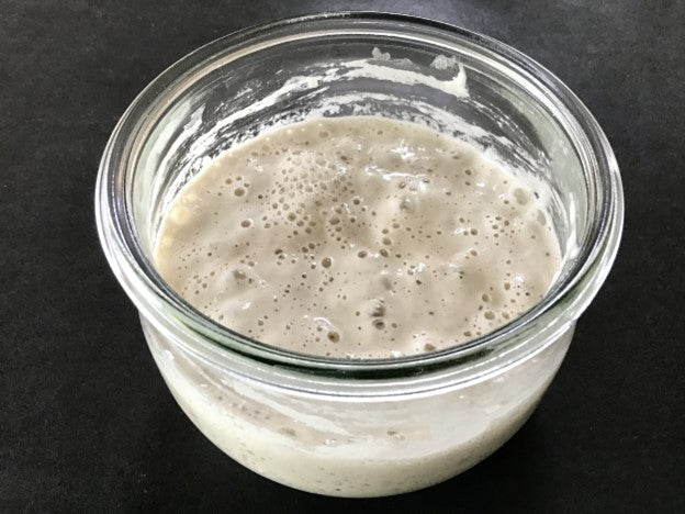 Strong White Starter Example